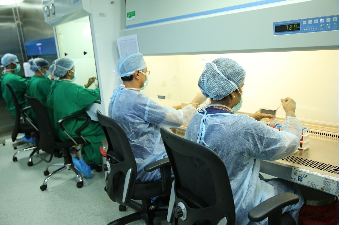 Cell Laboratory